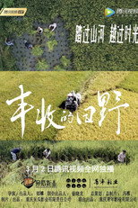 丰收的田野 poster