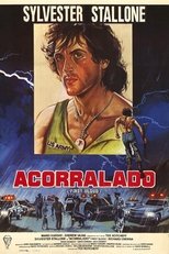 VER Acorralado (1982) Online