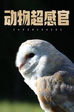 Supersenses (2019)