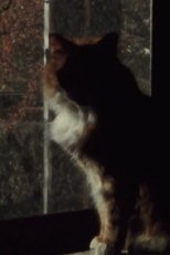 Five Year Diary, Reel 5: Mourning (January 23–30, 1982) Five Year Diary, Reel 5: Mourning (January 23–30, 1982)