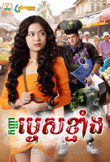 កញ្ញាម្ទេសខ្មាំង poster
