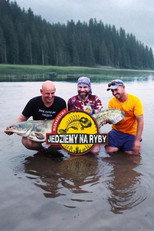 Jedziemy na ryby poster