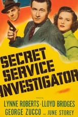 Secret Service Investigator