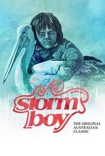 Poster di Il ragazzo della tempesta