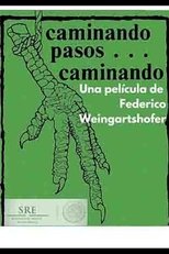 Poster for Caminando pasos... caminando