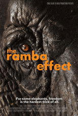 The Ramba Effect poster