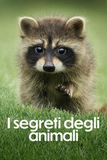 I segreti degli animali