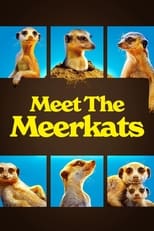 Poster for Meet The Meerkats Season 1