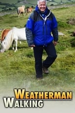 Poster for Weatherman Walking