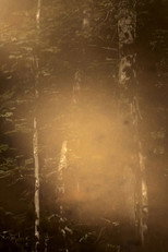 Poster for Paradis