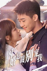 闪婚总裁别宠我 poster