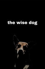 the wise dog
