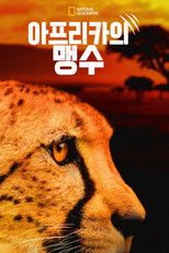 아프리카의 맹수