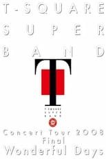 Poster di T-Square Super Band - Concert tour 2008 Final Wonderful Days