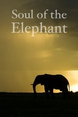 Poster for Soul of the Elephant 