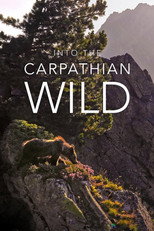 Into the Carpathian Wild (2025)