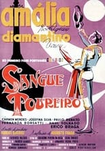 Poster for Sangue Toureiro