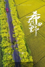 希望的田野 poster