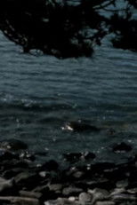 A Chasm and the Summer Sun poster