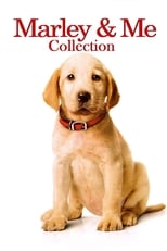 Marley & Me Collection