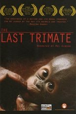 Poster for The Last Trimate 