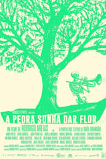 Poster for A pedra sonha dar flor 