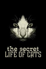 Poster for The Secret Life of Cats