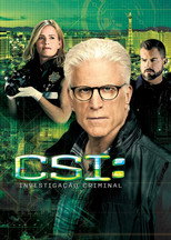 Pôster de Temporada 15 — CSI: Investigação Criminal