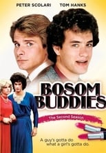 Poster for Bosom Buddies Season 2