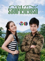 ร้อยป่าไว้ด้วยรัก poster