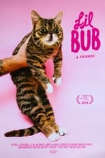 Poster for Lil Bub & Friendz