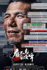 看不见的顶峰 poster