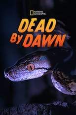 Poster for Dead By Dawn