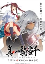 Poster for Shin Ikki Tousen Season 1