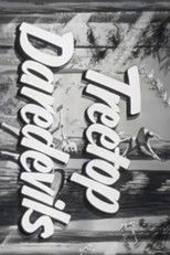 Treetop Daredevils poster