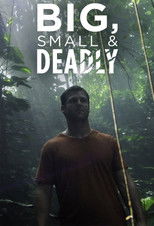 Big Small and Deadly poster