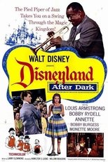 Poster for Disneyland After Dark 