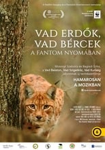 Poster for Vad erdők, vad bércek – A fantom nyomában