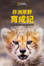 非洲原野育成记