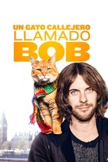 Ver Un gato callejero llamado Bob (2016) Online