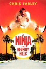 Le Ninja de Beverly Hills serie streaming