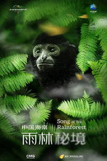 Poster zu Staffel 1 – Song of the Rainforest