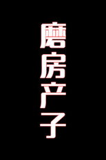 磨房产子-花鼓戏 poster