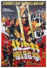 Poster for North Shaolin South Taekwon