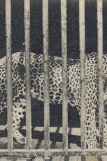 Zoo
