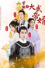重生之大武帝婿 poster