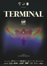 Terminal