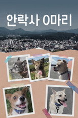 안락사 0마리 poster