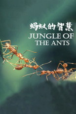 蚂蚁的智慧 poster