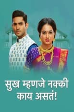 Sukh Mhanje Nakki Kay Asta (2020)